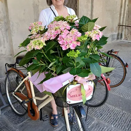 Melany Vicino Centro B&B